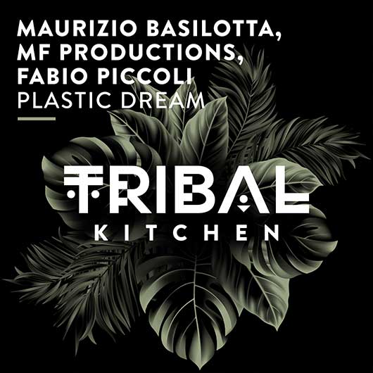 Maurizio Basilotta, Fabio Piccoli Plastic Dream