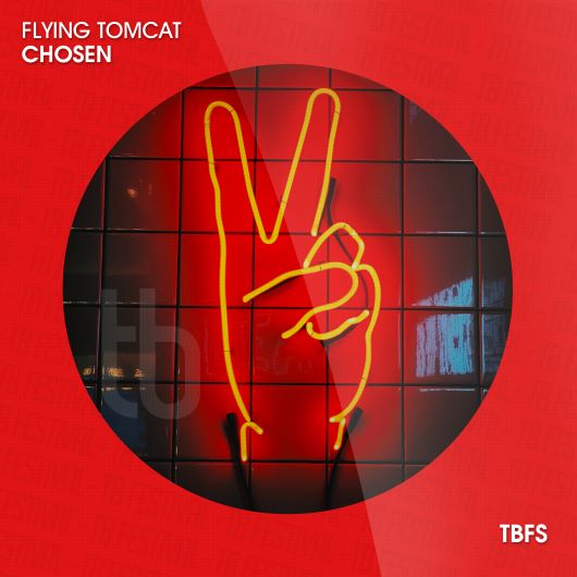 Flying Tomcat Chosen