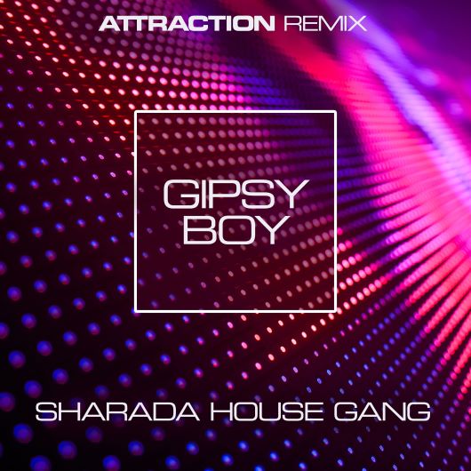 Sharada House Gang Gipsy Boy