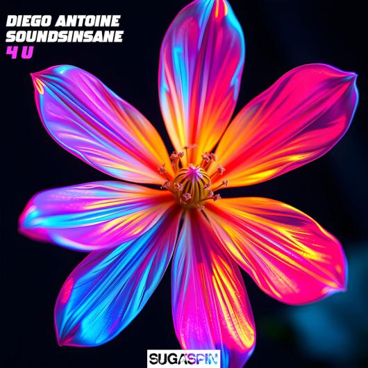 Diego Antoine & Soundsinsane 4 U