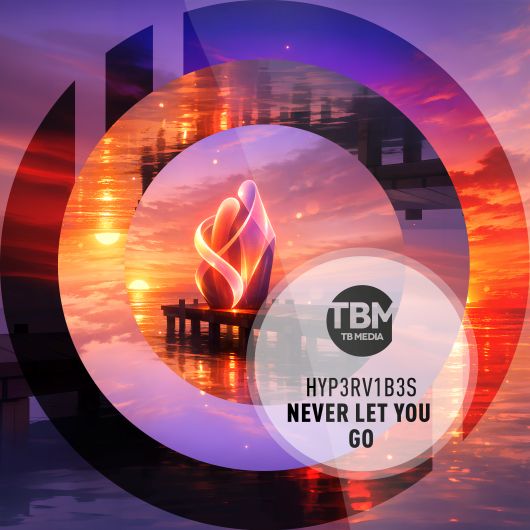 Hyp3rV1b3s Never Let You Go