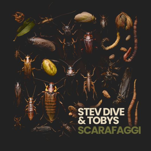 Stev Dive & TOBYS Scarafaggi