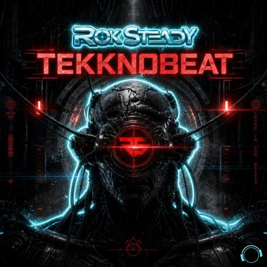 Rok STeAdY Tekknobeat